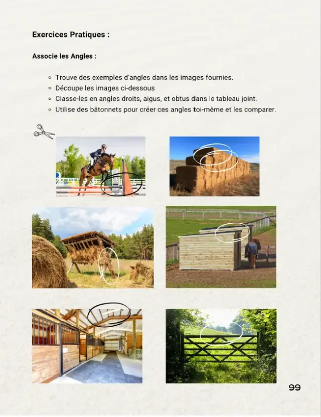 ressource chevaux 8